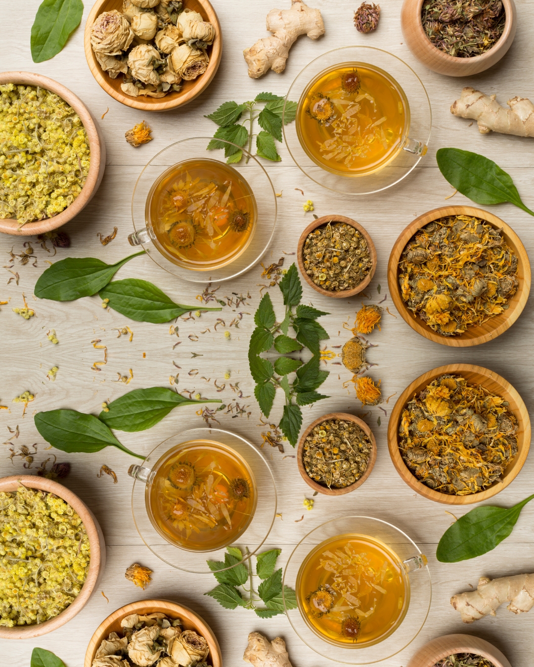The Winter Well-Being Blueprint: TCM Tips for Staying Warm and Healthy